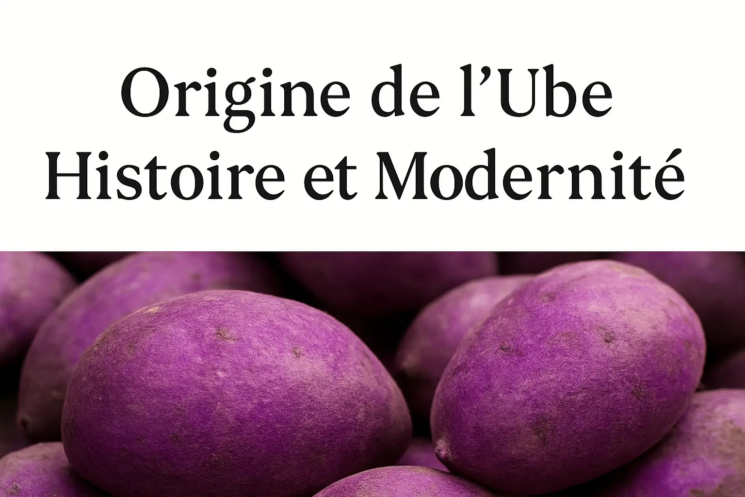 Origine de l'Ube